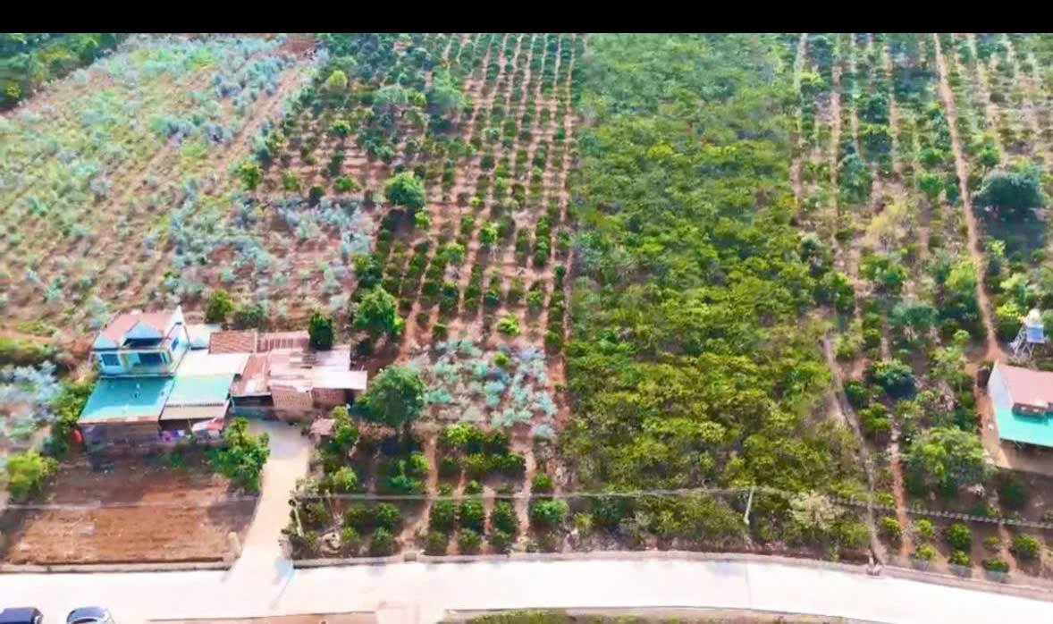 Còn 3 Lô Đất Tà Nung được chuyển đổi XD, diện tích từ 1400m/lô - Ảnh chính